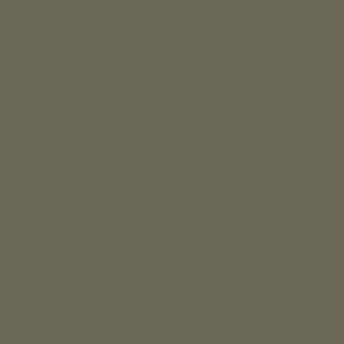 Фон бумажный Falcon Eyes BackDrop 2.72x10 хаки (10)